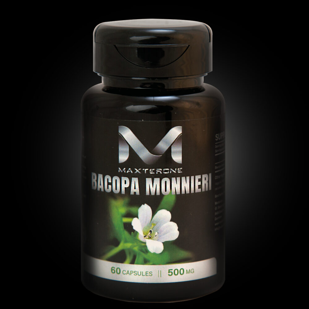 Bacopa Monnieri 500 mg Maxterone